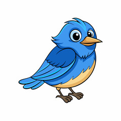 eastern blue bird  vector