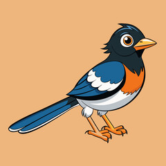 eastern towhee bird on a white background