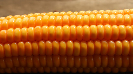 Close up of corn cobs