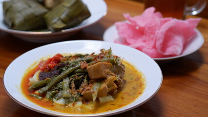 Ketupat Sayur Padang or Vegetable Padang rice cake with jackfruit vegetables, coconut milk sauce, rendang seasoning and crackers. Indonesia food.