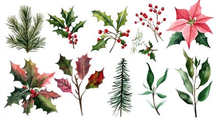 Watercolor Christmas botanical elements holly, poinsettia, pine, berries, leaves.