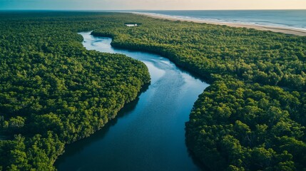 Obraz premium Winding river journey through lush jungle remote coastal area aerial view nature's tranquility and beauty