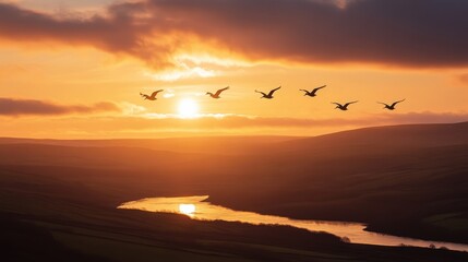Obraz premium Sunset Over Water with Flying Birds