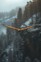 Golden Winged Glider Soaring Over Snowy Mountain Forest