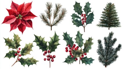 Watercolor Christmas floral collection poinsettia, holly, pine, fir.
