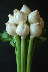 A bouquet of white onions attached to celery stalks