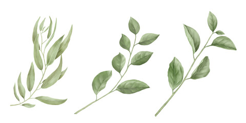 Willow and apple tree branch with green leaves in set. Watercolor digital illustration. Green leaves on twigs isolated on white background. Botanical illustration. For postcard and invitation design © Elena