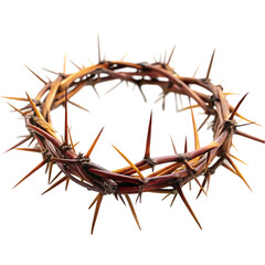 Fototapeta premium Crown of Thorns Religious Symbol Detailed Image High Resolution god holy dark hope love 