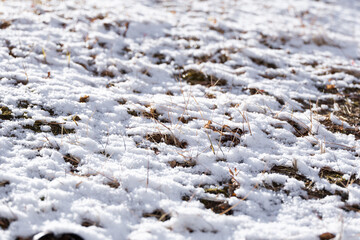 A grassy field in a snow-covered park. warm sunshine