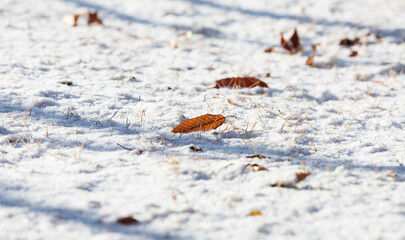 A grassy field in a snow-covered park. warm sunshine