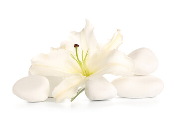 Beautiful lily flower and spa stones on white background