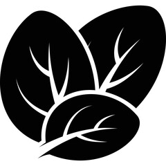 Simple vector icon spinach
