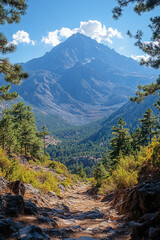 Mountain Trail Leads to Majestic Peak Through Pine Forest