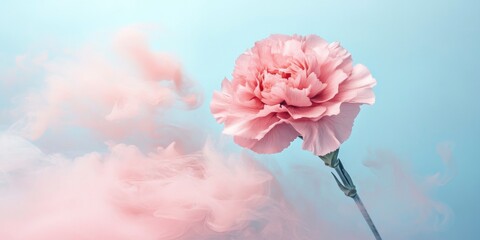 Pink carnation flower in pink smoke, pastel blue background.