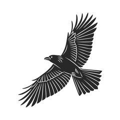 Fototapeta premium black and white vector of a raven in flight perfect for tattoo