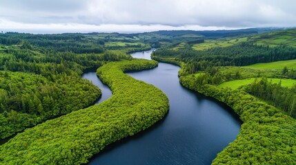 Aerial view of a winding river through lush forest