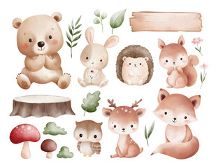 Watercolor Illustration Set of Woodland Animals and Nature Elements