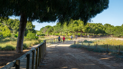 Natural Park Of Las Lagunas De La Mata in Torrevieja, Spain