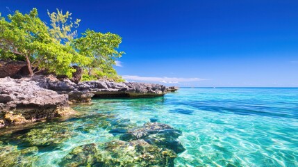 Obraz premium Tranquil Tropical Beach Scene