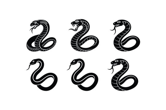 "Set of Snake Icon Vector Illustration, Curved Snake Animal Design"

