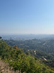 Obraz premium City View from a Hillside, A clear view of the city skyline from a lush hillside, featuring green foliage in the foreground and a hazy blue sky above