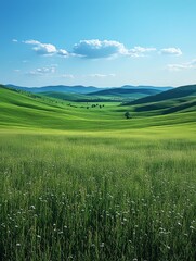 Obraz premium Green grass field at sunset illuminating rolling hills and blue sky