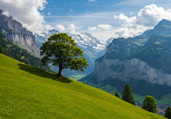 Fototapeta premium Idyllic tree on a lush green hill in Jaun Switzerland with Alpine peaks under a partly cloudy summer sky