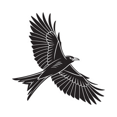 Fototapeta premium black and white vector of a raven in flight perfect for tattoo