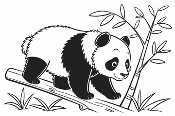 cute baby panda . Coloring page. Coloring book. Drawing of cute baby panda isolated on a white background. Vector outline © MD Shohel Rana