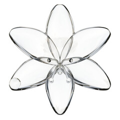 Glass Lily Petals 3D Design Element