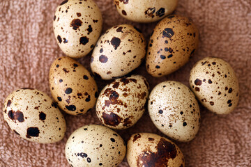 Few amount of quail eggs in small pile on brown towel background