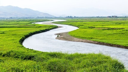 Obraz premium Serene River Landscape