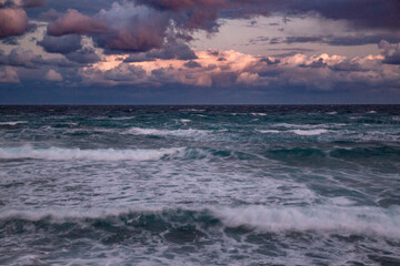 奄美大島の冬の風景