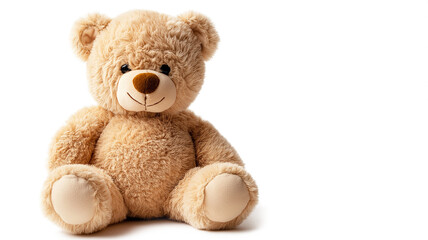 Obraz premium Teddy Bear isolated on a white background