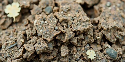 Closeup of a natural abstract background showcasing the intricate textures and colors of the environment, organic, foliage