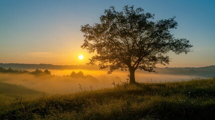 A peaceful morning landscape with the sun rising over a horizon, symbolizing new beginnings and motivation