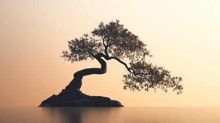 Solitary Bonsai Tree at Sunset: A Serene Landscape