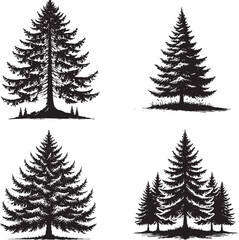High-Quality Monochrome Vector Silhouettes of the Spruce Tree Isolated on a White Background