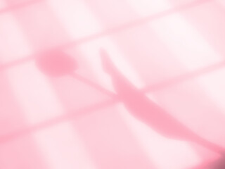 Wall shadow pink premium gradation background texture blur gradient light pastel abstract luxury premium mockup peach color backdrop template valentine summer spring overlay mockup for presentation