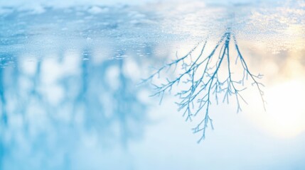 Frosty tree reflections on ice during winter serenity for seasonal art and decor