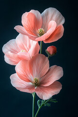 Delicate Pink Flowers Bloom Against Dark Background