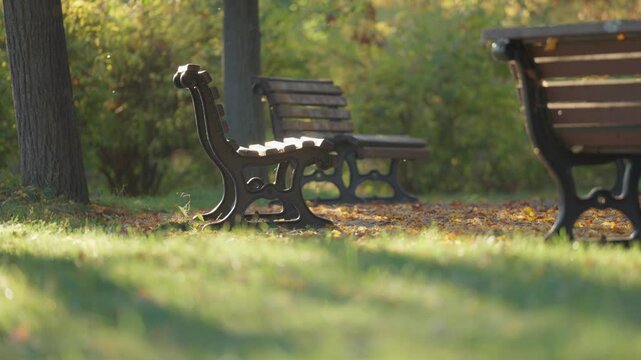 Tranquil Letna Park benches offer respite amidst lush greenery and scenic views of Prague. Parallax video.