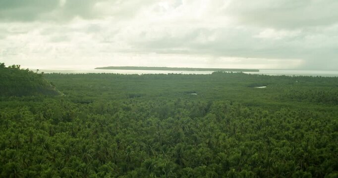 Swathes of land occupied by a coconut plantation with a view of the sea from afar in Siargao island, Philippines.