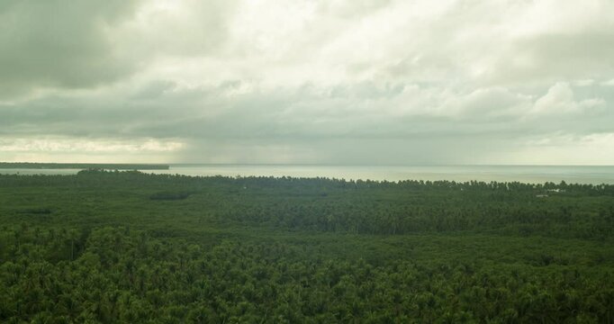 Time-lapse of cloudy day view of coconut plantation and the sea from afar in Siargao, Philippines.