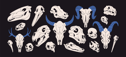 Set of animal skulls sketches. Anatomy of head skeletons of different beasts. Dead deer, lion, birds, cat, dog, horse, crocodile bones. Fauna, wildlife structure. Flat isolated vector illustrations