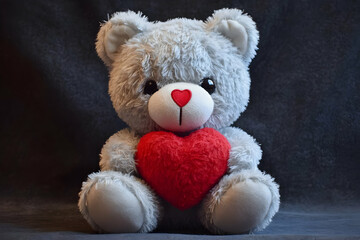 Obraz premium teddy bear with heart