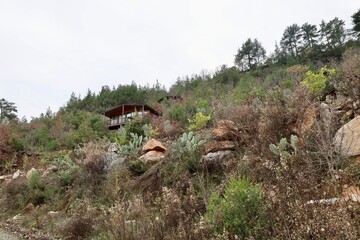 Rocky landscape greenery. High quality photo