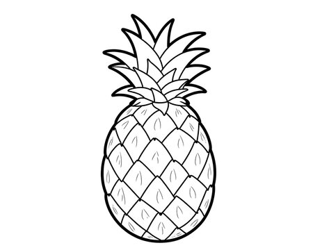 Printable Pineapple Coloring Page Outline Drawing