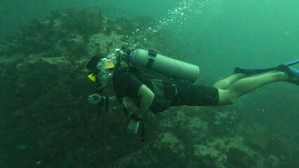  scuba divers in koh tao tailand