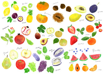 Colorful hand-drawn fruits illustration set – playful and fresh style　apple, grapes, orange, lemon, strawberry　手描きのカラフルでかわいいフルーツイラストセット